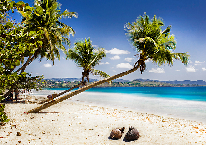 Plage de Martinique